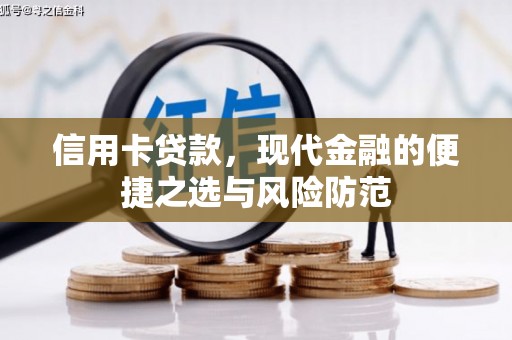 嵩县信用卡贷款，现代金融的便捷之选与风险防范
