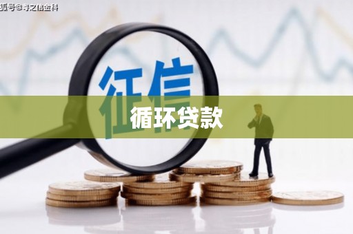 嵩县循环贷款