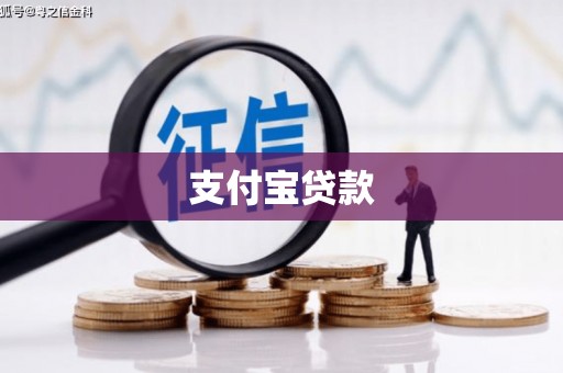 嵩县支付宝贷款