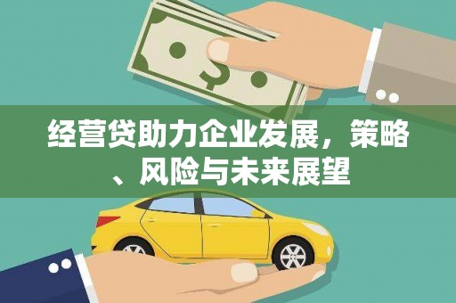 嵩县经营贷助力企业发展，策略、风险与未来展望