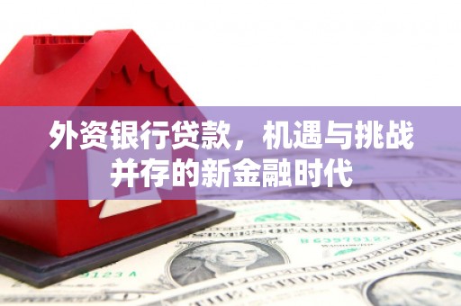 嵩县外资银行贷款，机遇与挑战并存的新金融时代