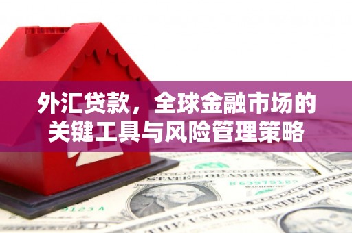 嵩县外汇贷款，全球金融市场的关键工具与风险管理策略