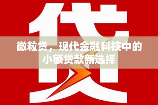 嵩县微粒贷，现代金融科技中的小额贷款新选择
