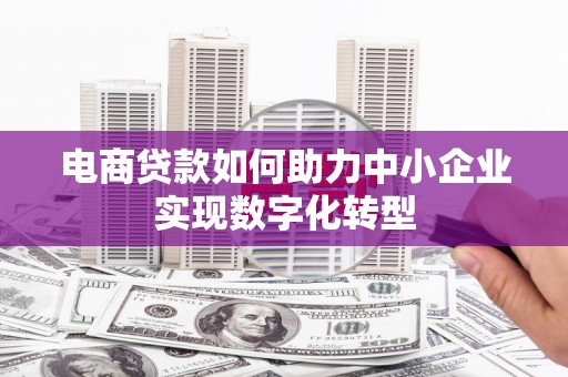 嵩县电商贷款如何助力中小企业实现数字化转型