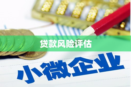 嵩县贷款风险评估