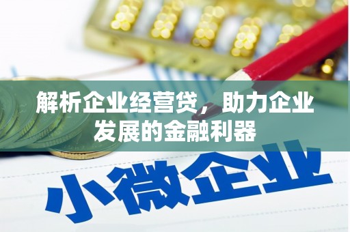嵩县解析企业经营贷，助力企业发展的金融利器