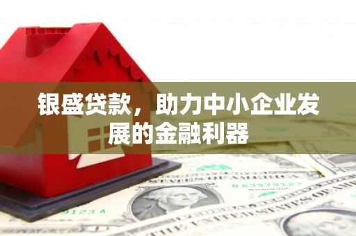 嵩县银盛贷款，助力中小企业发展的金融利器