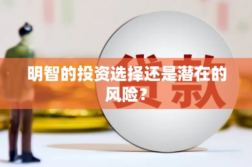 嵩县明智的投资选择还是潜在的风险？