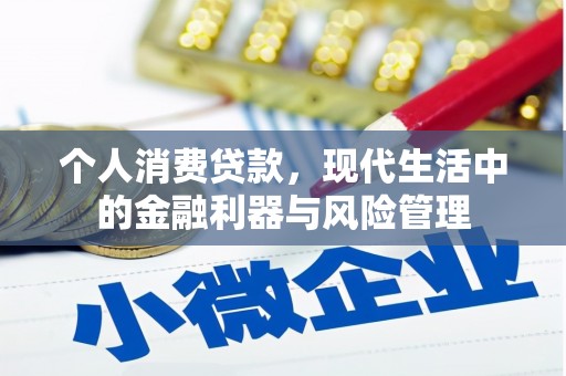 嵩县个人消费贷款，现代生活中的金融利器与风险管理