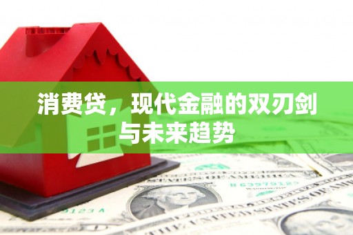 嵩县消费贷，现代金融的双刃剑与未来趋势
