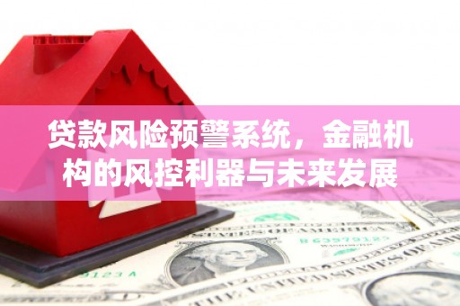嵩县贷款风险预警系统，金融机构的风控利器与未来发展