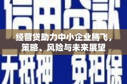 嵩县经营贷助力中小企业腾飞，策略、风险与未来展望