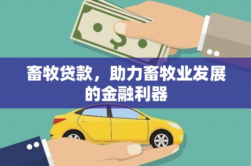 嵩县畜牧贷款，助力畜牧业发展的金融利器