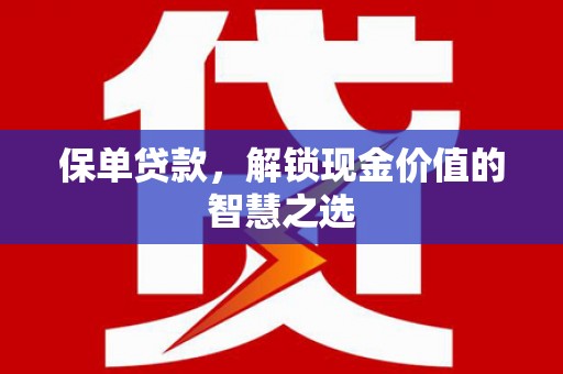 嵩县保单贷款，解锁现金价值的智慧之选