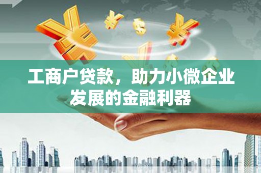 嵩县工商户贷款，助力小微企业发展的金融利器