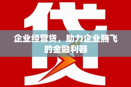 嵩县企业经营贷，助力企业腾飞的金融利器