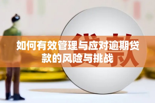 嵩县如何有效管理与应对逾期贷款的风险与挑战