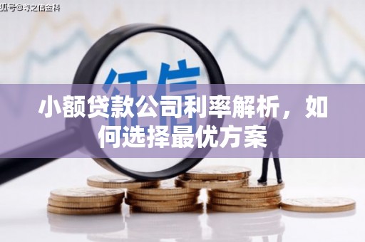 嵩县小额贷款公司利率解析，如何选择最优方案