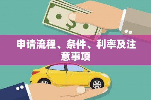嵩县申请流程、条件、利率及注意事项