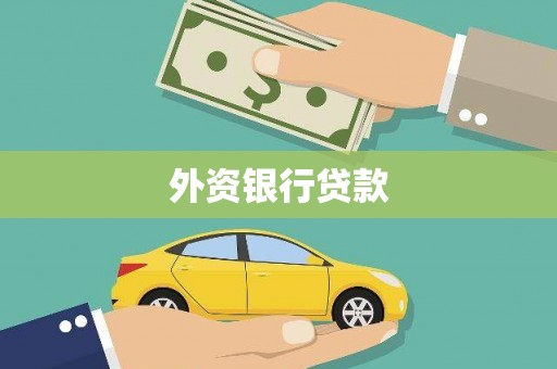 嵩县外资银行贷款