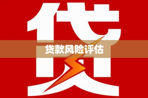 嵩县贷款风险评估