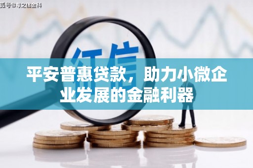 嵩县平安普惠贷款，助力小微企业发展的金融利器