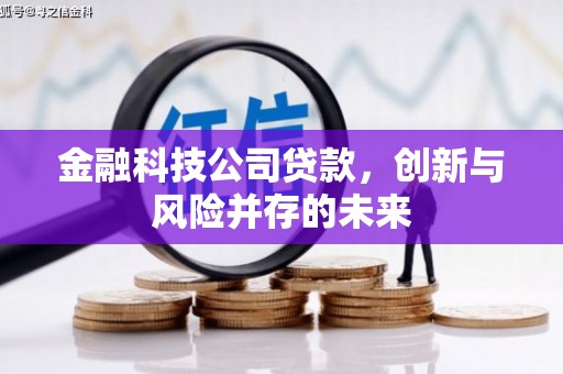 嵩县金融科技公司贷款，创新与风险并存的未来