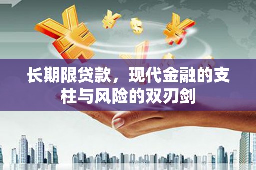 嵩县长期限贷款，现代金融的支柱与风险的双刃剑