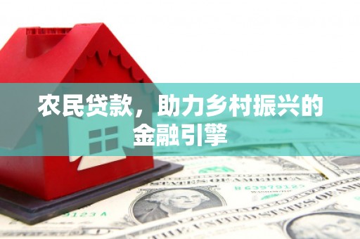 嵩县农民贷款，助力乡村振兴的金融引擎