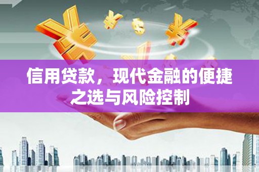 嵩县信用贷款，现代金融的便捷之选与风险控制