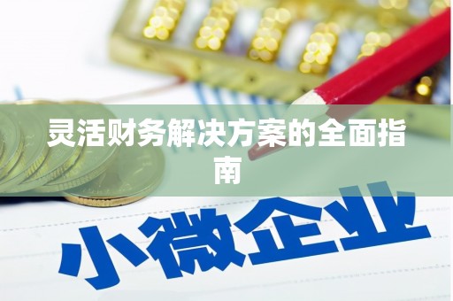 嵩县灵活财务解决方案的全面指南