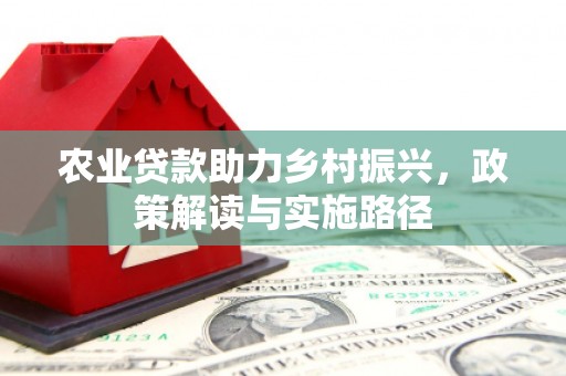 嵩县农业贷款助力乡村振兴，政策解读与实施路径