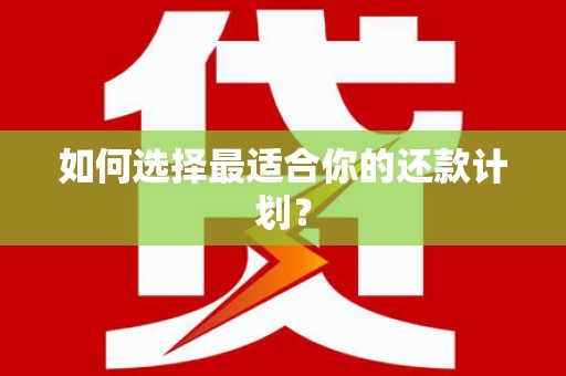 嵩县如何选择最适合你的还款计划？