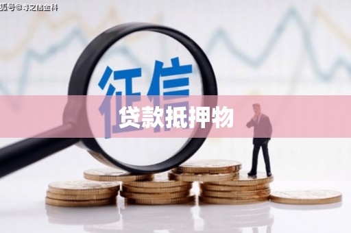 嵩县贷款抵押物