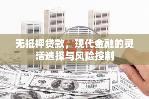 嵩县无抵押贷款，现代金融的灵活选择与风险控制
