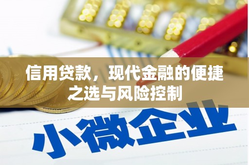 嵩县信用贷款，现代金融的便捷之选与风险控制