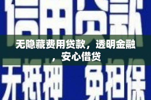 嵩县无隐藏费用贷款，透明金融，安心借贷