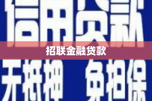 嵩县招联金融贷款