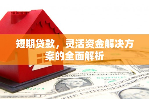 嵩县短期贷款，灵活资金解决方案的全面解析