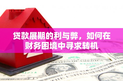 嵩县贷款展期的利与弊，如何在财务困境中寻求转机