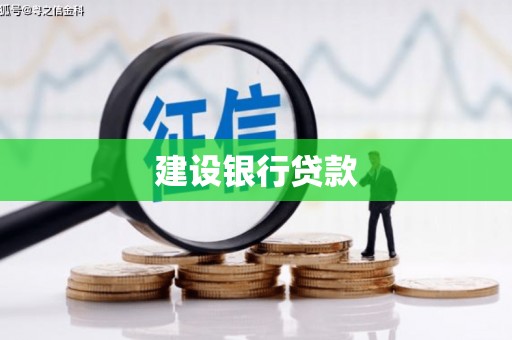 嵩县建设银行贷款