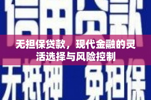 嵩县无担保贷款，现代金融的灵活选择与风险控制