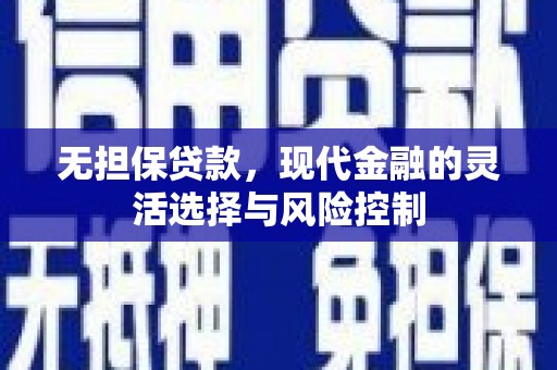 嵩县无担保贷款，现代金融的灵活选择与风险控制