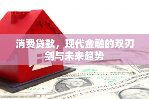 嵩县消费贷款，现代金融的双刃剑与未来趋势