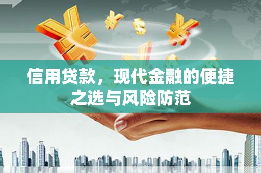 嵩县信用贷款，现代金融的便捷之选与风险防范