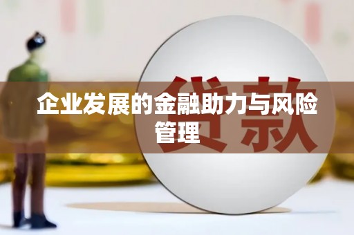 嵩县企业发展的金融助力与风险管理