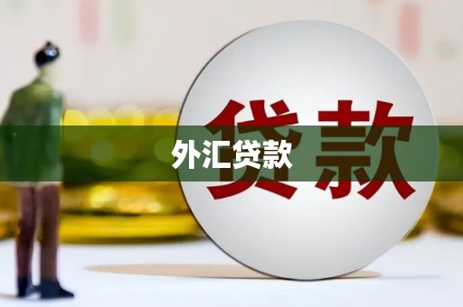 嵩县外汇贷款