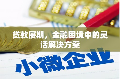 嵩县贷款展期，金融困境中的灵活解决方案