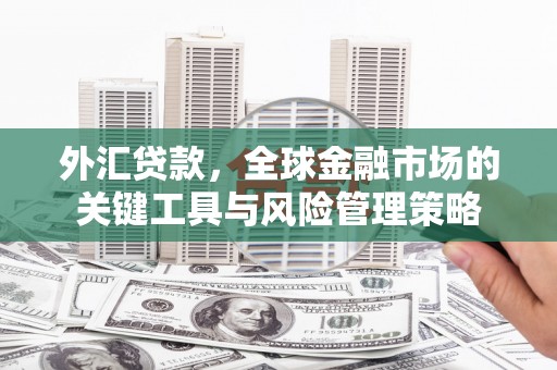 嵩县外汇贷款，全球金融市场的关键工具与风险管理策略