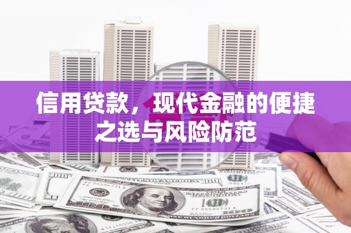 嵩县信用贷款，现代金融的便捷之选与风险防范